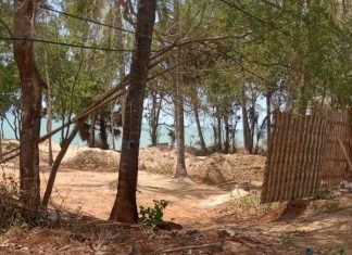 Penambang Pasir Ilegal di Daerah Pantura, Pemerintah Daerah diminta Turun