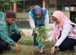 Srikandi PLN Icon Plus Rayakan Hari Tanam Pohon, Wujudkan Perempuan Peduli Lingkungan