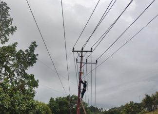 PLN Icon Plus Menjaga Kualitas Koneksi di Bulan Suci untuk Produktivitas dan Ibadah Pelanggan Setianya