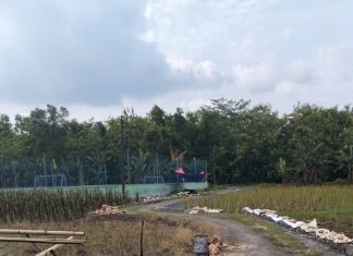 Tuai Masalah, Pekerjaan Proyek TPT Di Desa Poreh Kec. Lenteng, Sumenep. Salah Satu Warga Minta Proyek Di Hentikan.